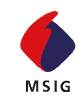 MSIG Seguros